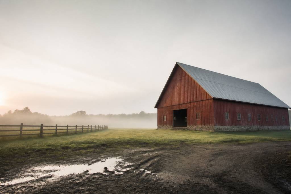 La ferme des animaux de George Orwell : résumé
